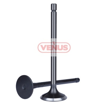 Engine_valve